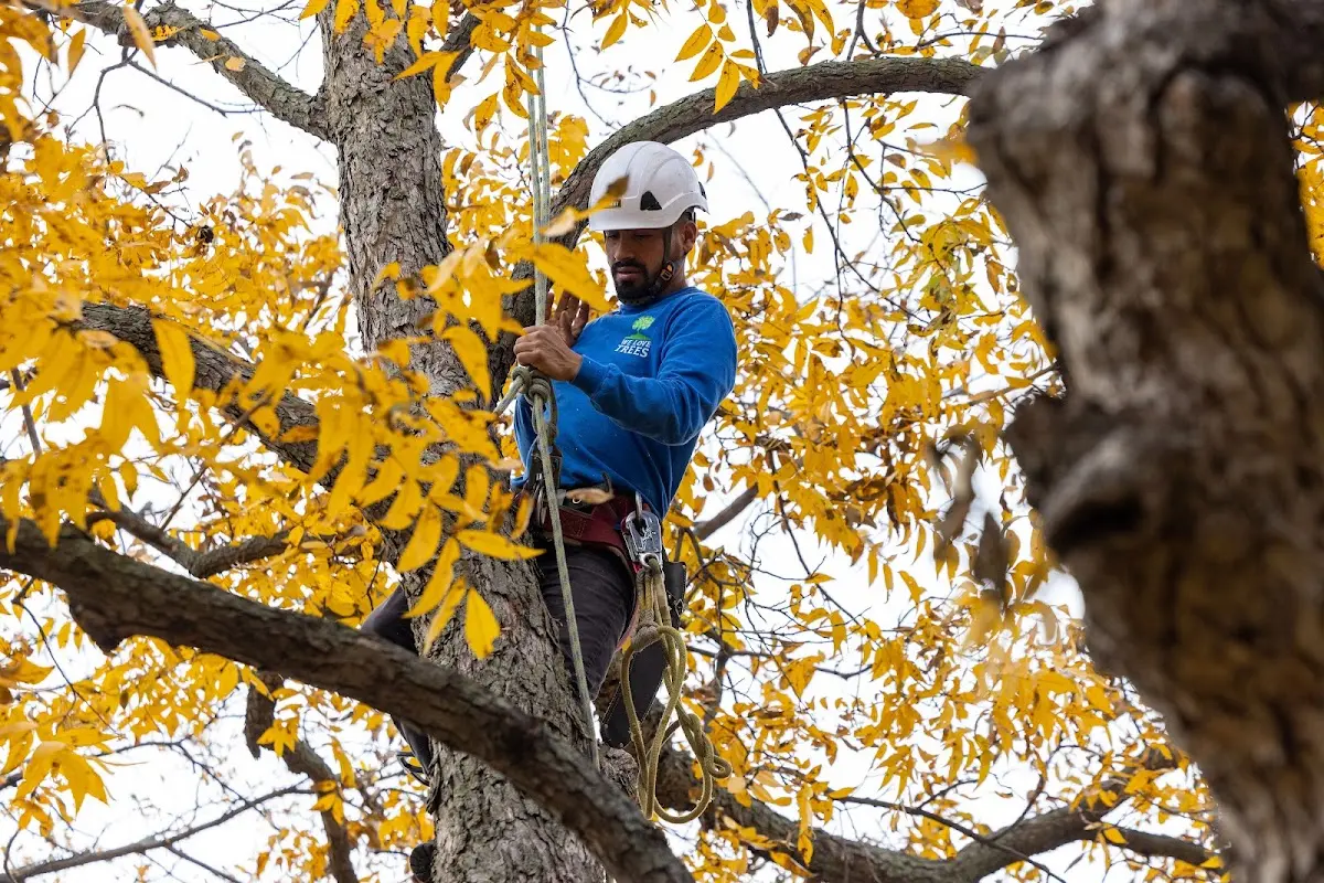 Skilled Storm Damage Cleanup crew working in Durham